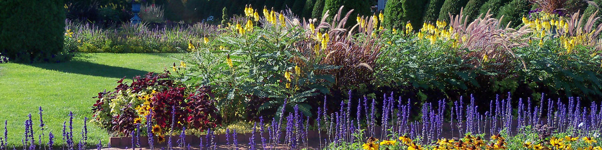 Support The Gardens Page Header 1200x300