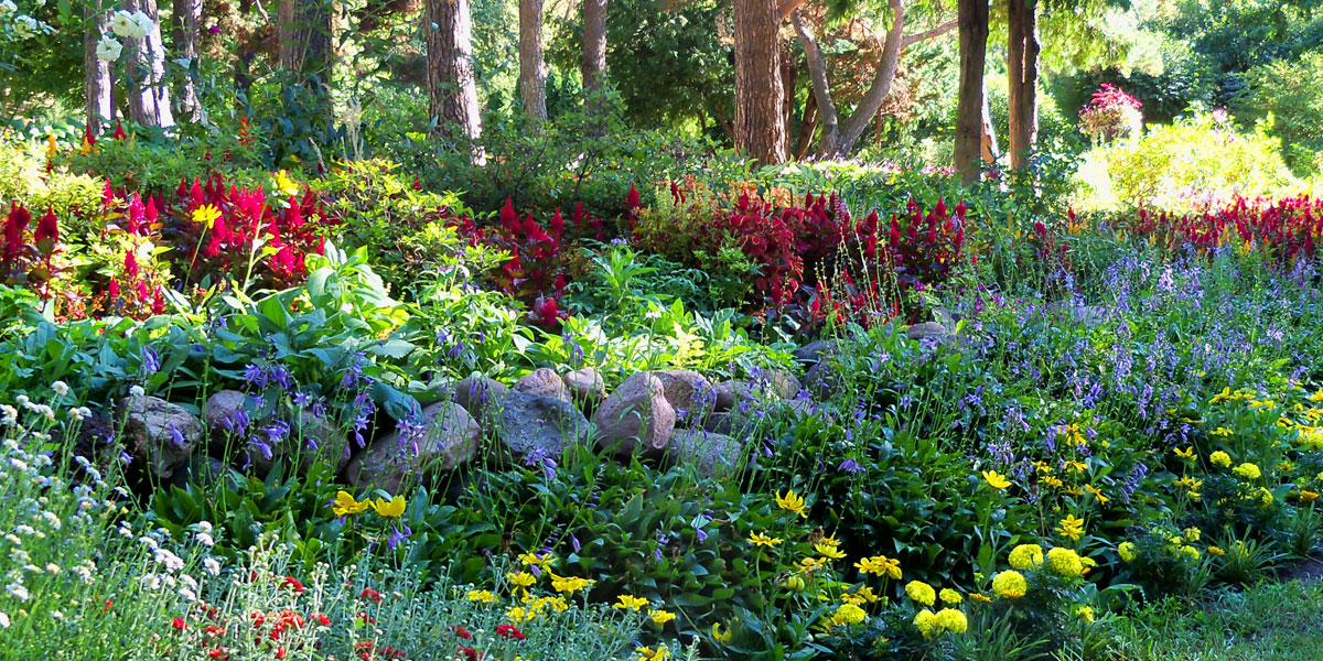 Munsinger Clemens Botanical Society St Cloud In Full Bloom