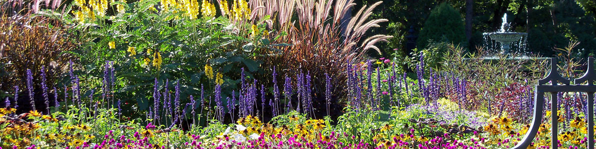 Support The Gardens Page Header 1200x300